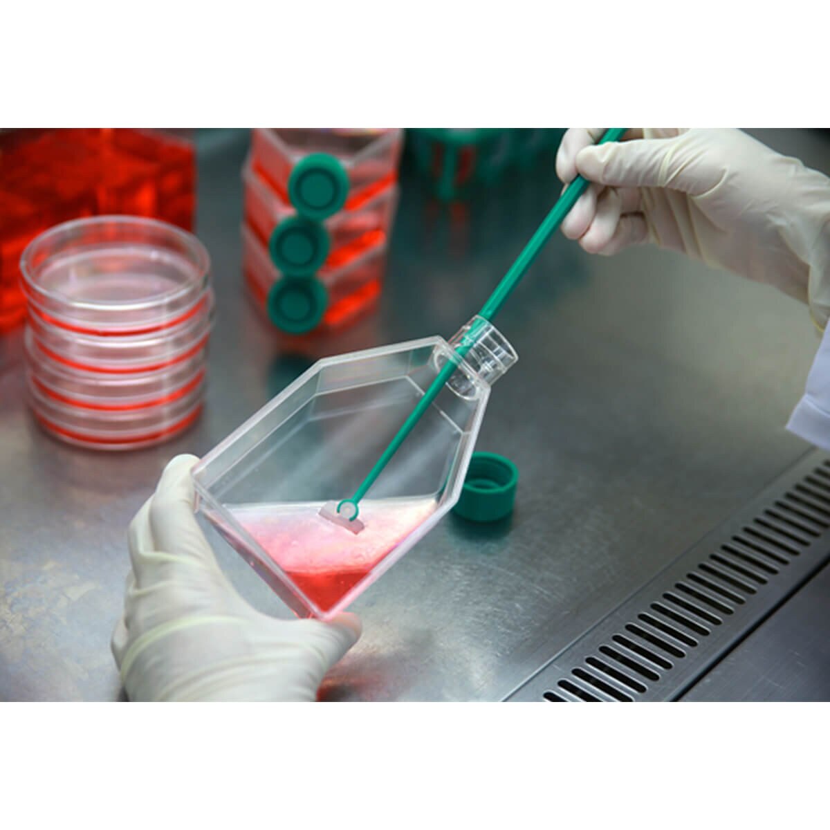 Cell Culture Flask, 75cm²
